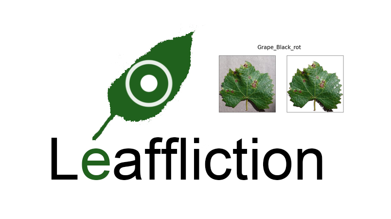 leaffliction Project